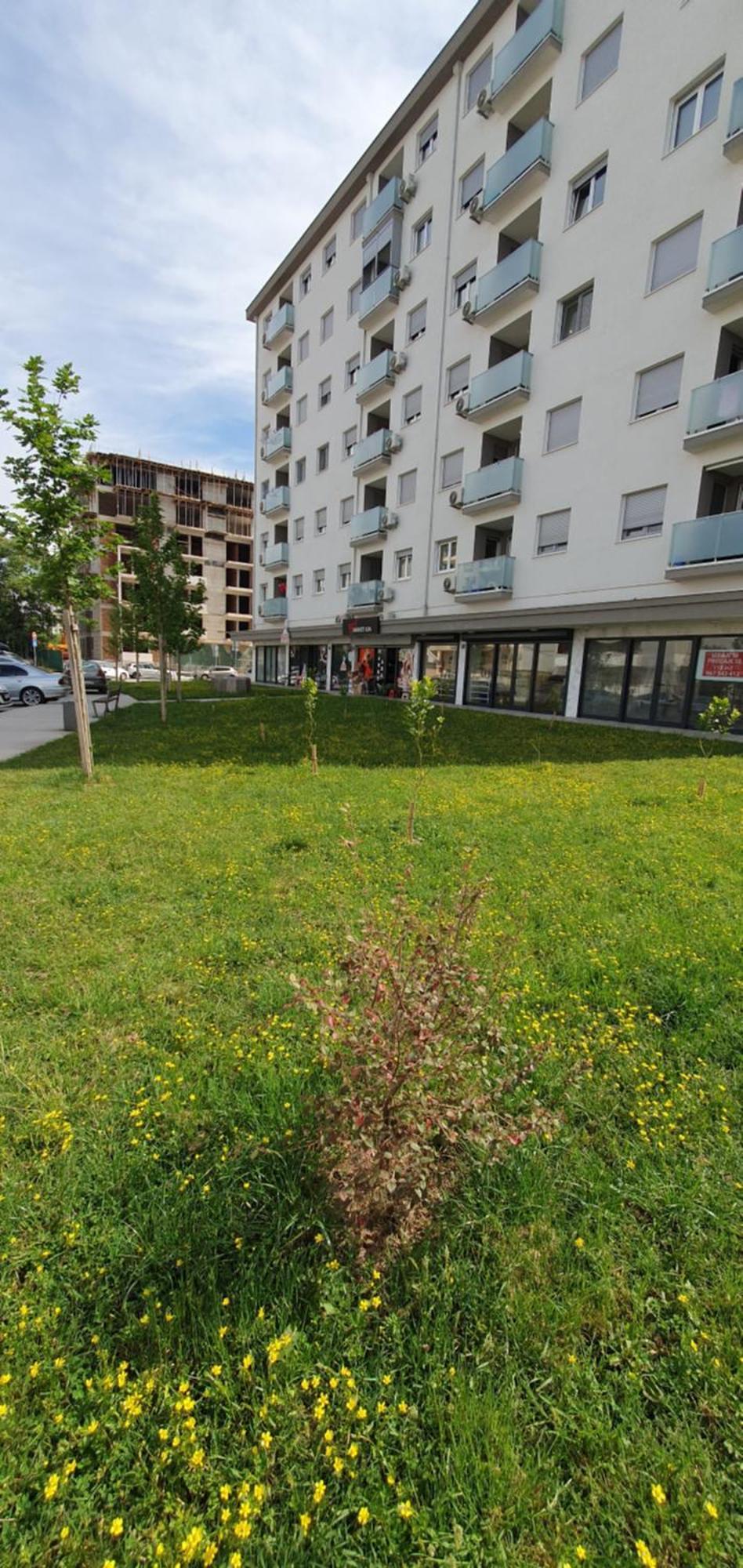 Apartament Odmor U Podgorici. Podgorica Zewnętrze zdjęcie